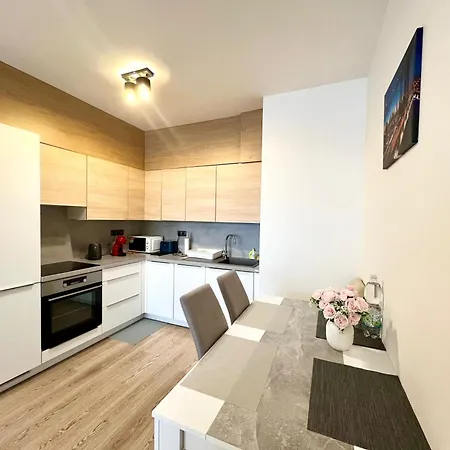 公寓 Tomas Apartment,free Parking-02 Arena *