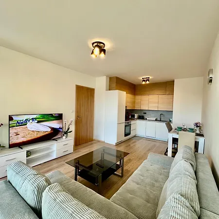 Tomas Apartment,free Parking-02 Arena * Praha
